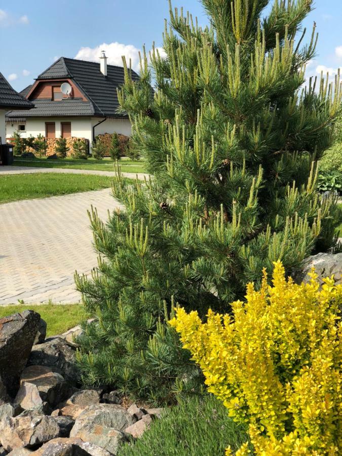 Villa Detvan Stara Lesna Ngoại thất bức ảnh